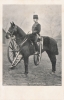 7  -  Sergt Major, R.H.A
