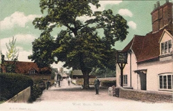 97  -  West Meon, Hants