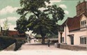 97  -  West Meon, Hants
