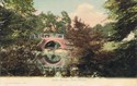 1008  -  Bush Bridge, New Forest