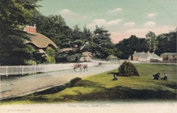 1012  -  Swan Green, New Forest
