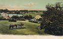 1013  -  Bank New Forest