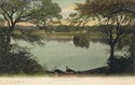 102  -  Southampton Common