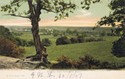 1031  -  Romsey From Greenhill, Hants