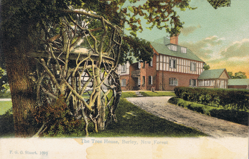 The Tree House, Burley, New Forest