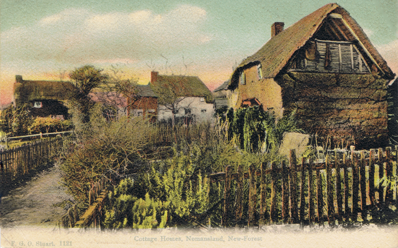 Cottage Homes, Nomansland, New Forest