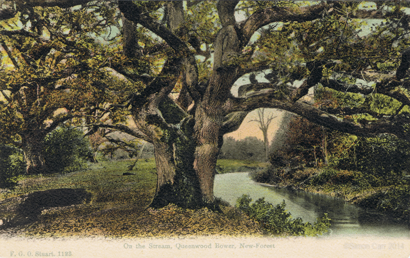 On The Stream, Queenwood Bower, New Forest