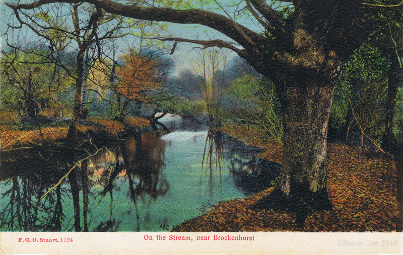 On The Stream, near Brockenhurst