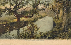 1125  -  On the Stream, Brockenhurst