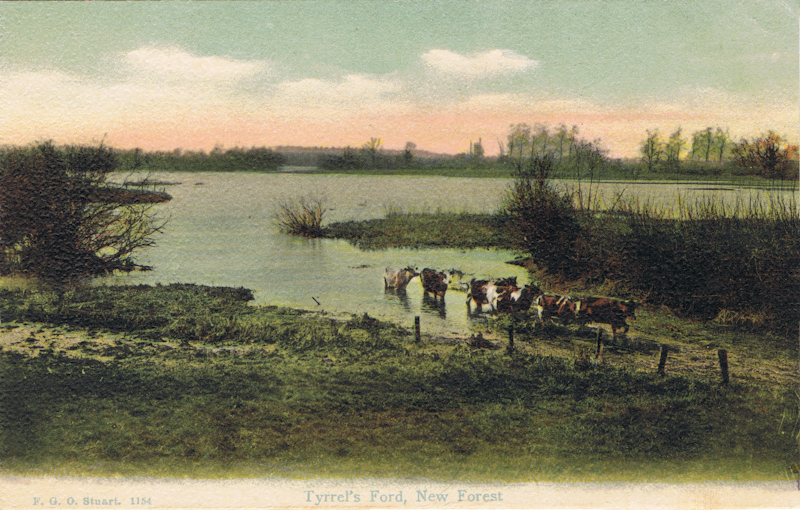 Tyrrel's Ford, New Forest