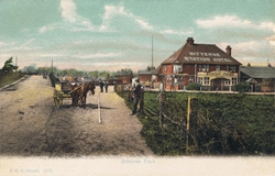 1173  -  Bitterne Park