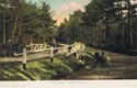 1212  -  Ivy Bridge, Brockenhurst