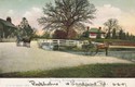 1214  -  Brookley Bridge, Brockenhurst