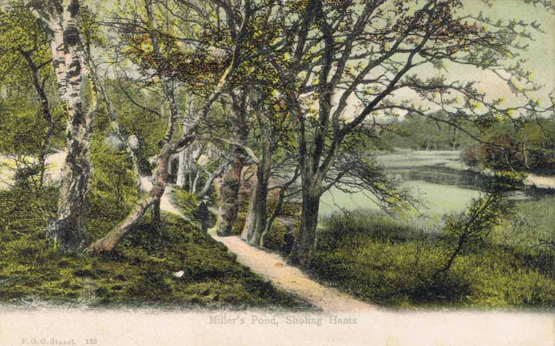Miller''s Pond, Sholing