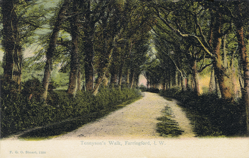 Tennyson's Walk, Farringford, I. W.