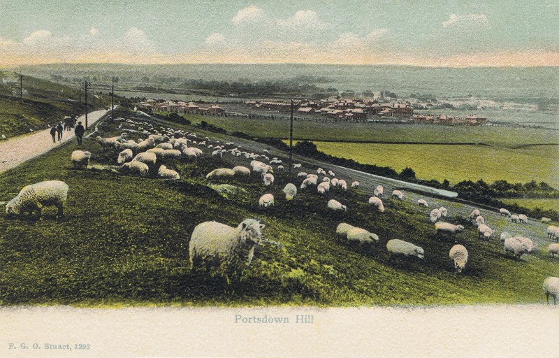 Portsdown Hill