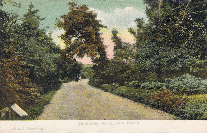 Holmesley Road, New Forest
