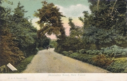1311  -  Holmesley Road, New Forest