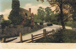 1315  -  At Brockenhurst, New Forest, Hants