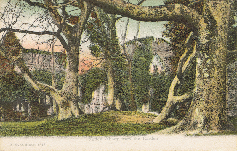 Netley Abbey From The Garden