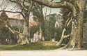 1343  -  Netley Abbey From The Garden