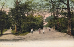 1386  -  On Southampton Common