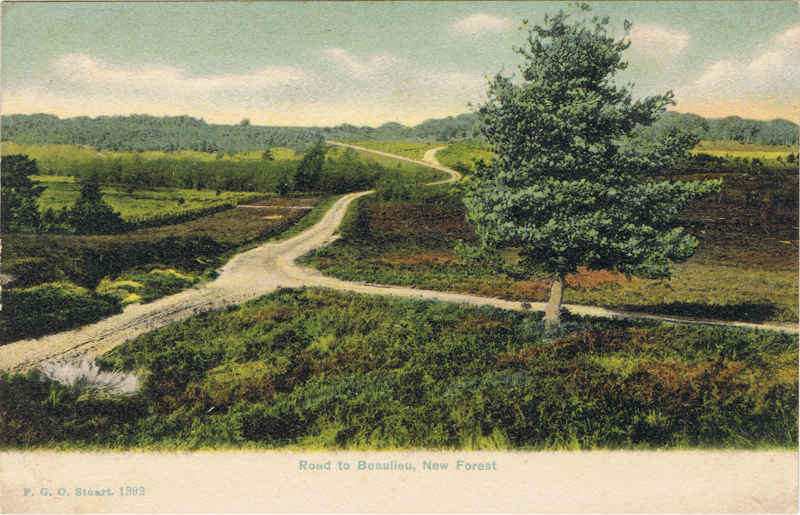 Road to Beaulieu, New Forest