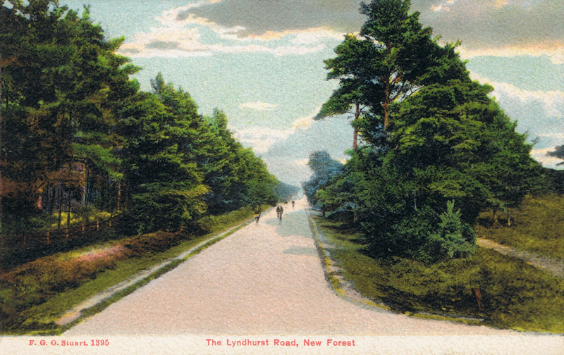 The Lyndhurst Road, New Forest
