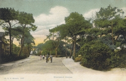 1427  -  Stourwood Avenue