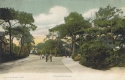 1427  -  Stourwood Avenue