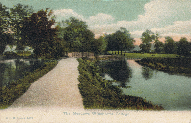 The Meadows, Winchester College
