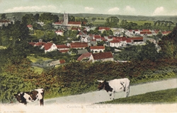 151  -  Carisbrook Village, I. of W.