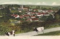 151  -  Carisbrook Village, I. of W.