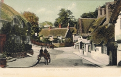 155  -  Shanklin Old Village. I. Of W.