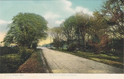 1560  -  At Dunce's Arch, Lyndhurst