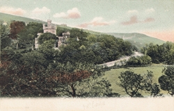160  -  Steephill Castle, I.W.