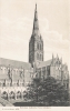 1675  -  Salisbury Cathedral from Cloisters