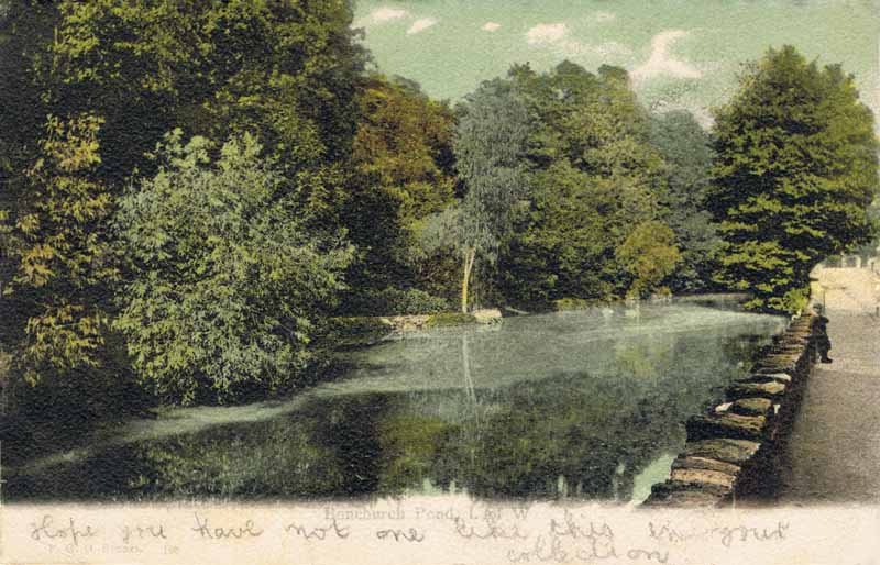 Bonchurch Pond, I. of W.