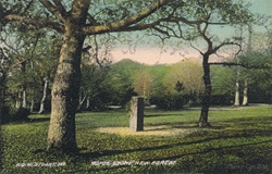 180  -  Rufus Stone, New Forest