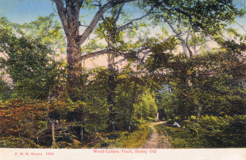 Wood-Cutters Track, Burley Old