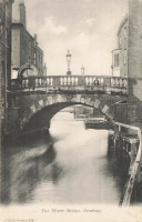 252  -  The Water Bridge, Newbury