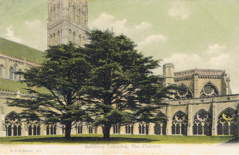 Salisbury Cathedral, The Cloisters