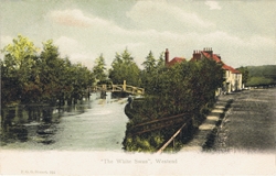 324  -  The White Swan, Westend