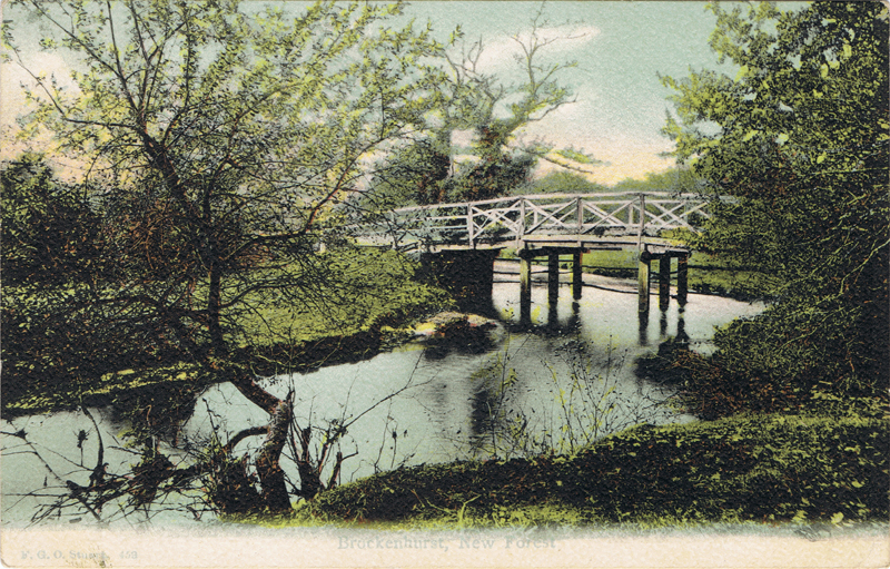 Brockenhurst, New Forest