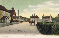 461  -  Fawley, New Forest