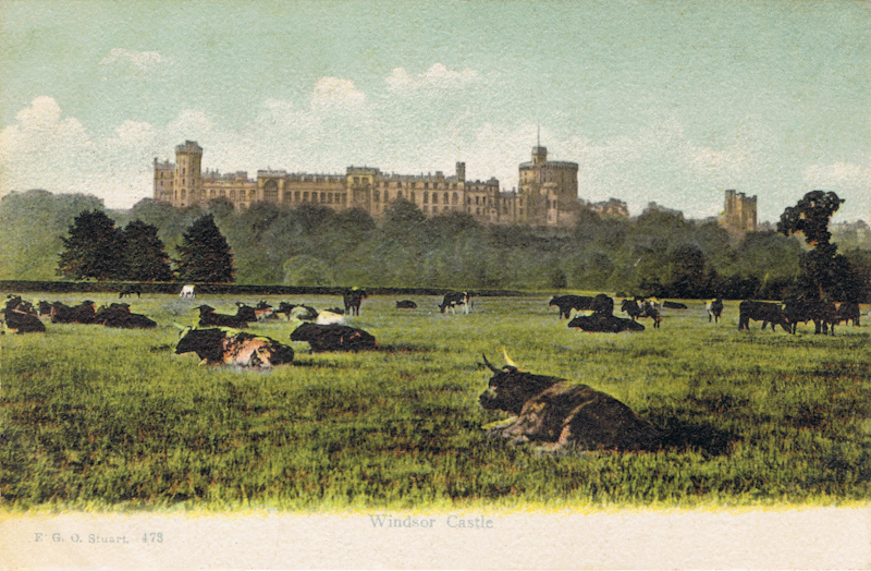 Windsor Castle