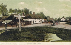 535  -  Cadnam, New Forest