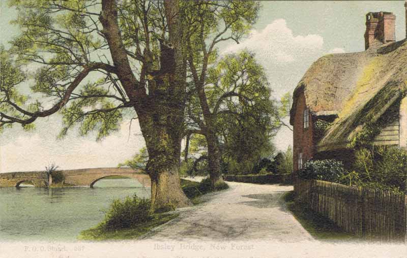 Ibsley Bridge, New Forest