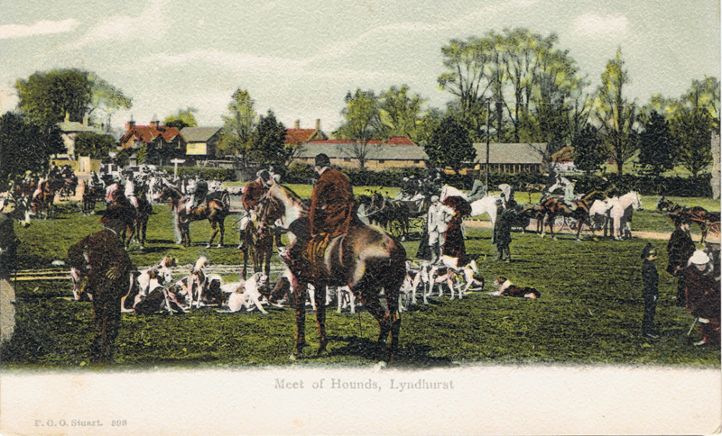 Meet of Hounds, Lyndhurst