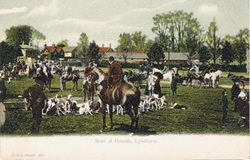 596  -  Meet of Hounds, Lyndhurst